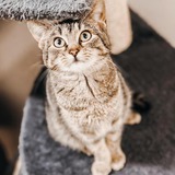 127033075_10219101267865471_6660748570886475967_n