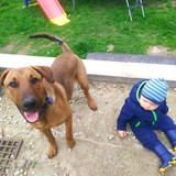 185393786_10208893122921889_1940999884857411039_n