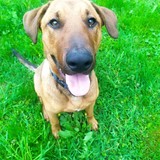 185410871_382268119688665_9061231960367207778_n