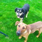 185692972_10208893125841962_2682039305866520312_n