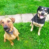 185718614_793016591580496_4446910324231471261_n