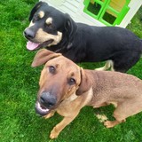 186186437_10208893131962115_5241432981777762788_n