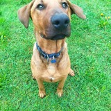 186472371_177483644255321_2986151619375545193_n