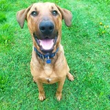 186510289_742598253080496_5312416146654205615_n