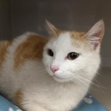 186546280_10220257942101604_6247341232977773260_n