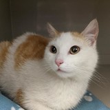 186913302_10220257942421612_2496006578493688425_n