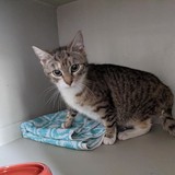 186544417_10220257681335085_7591579539035624938_n