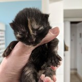 186541798_10220257677494989_3564531906297959178_n