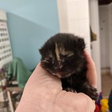 186556748_10220257676854973_8073018416024163438_n