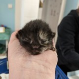 187049393_10220257679095029_8881260265242075007_n