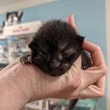 186812259_10220257672534865_3086795759688716789_n