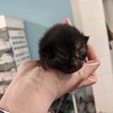 186913301_10220257673174881_7976582222858363342_n