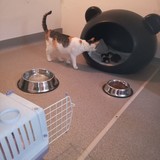 182869226_481327063182155_67388471265641657_n