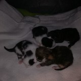 183056437_857078951513738_2427893283860544828_n