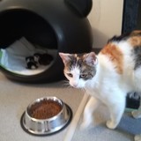 183850606_2876205625953387_1199716465627373299_n