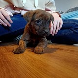 180920664_10215404267138665_2860110013968180680_n