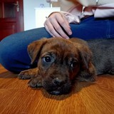 181002924_10215404267898684_1819701968635166477_n