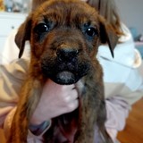 181483522_10215404266618652_8752691275641908600_n