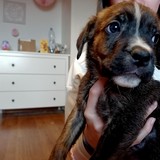 180214107_10215404244818107_3746564755349709704_n