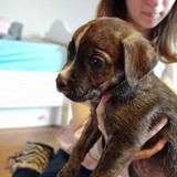 181543310_10215404243938085_8651027100440387177_n