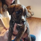 181875379_10215404244258093_1863347394178727083_n