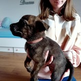 180875571_10215404215057363_6915191802384205075_n