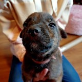 181347267_10215404216377396_6216610018150794147_n