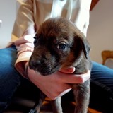 180993318_10215404234097839_7541469013741526069_n