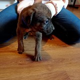 181685864_10215404233737830_4323558686202811056_n