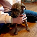 181194343_10215404238617952_3198134648512937329_n