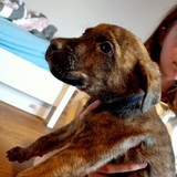 181347267_10215404237537925_54350708039548536_n