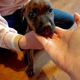 181477936_10215404238337945_2612180028206609675_n