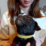 182103915_10215404255858383_2136136233002303110_n