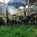 184808449_10215458767821148_5754002467624425052_n