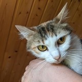 198189835_10220402588037662_8695152441621831165_n