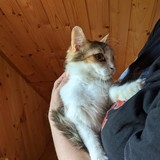 196232820_10220402585397596_7909499670281555307_n