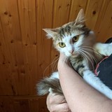 198218114_10220402588437672_6862290786413115939_n