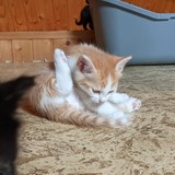 198069811_10220402607718154_683431493886062850_n