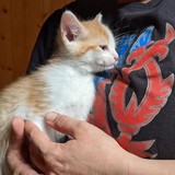 198254973_10220402605238092_3585879234942121796_n