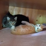 198709466_10220402592997786_8131043470050695567_n