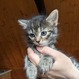 196054282_10220402603838057_4338309971405934625_n