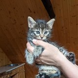 198059508_10220402604358070_2689891203505508_n