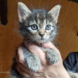 198129377_10220402603078038_5800212693393056750_n