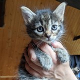 198768611_10220402603518049_4487620234606509483_n