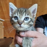 195132868_10220402608518174_4674797725711384368_n