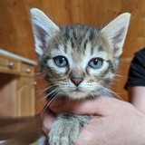 197246428_10220402609078188_732871805976508290_n