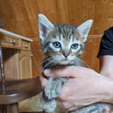 197932787_10220402609438197_1660890869184892248_n