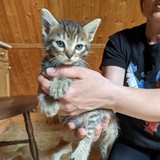 198156696_10220402609678203_7355150009484685208_n