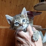 197814414_10220402606278118_532134294828338526_n