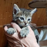 198007520_10220402605998111_2455150791968798540_n